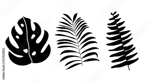 Tropical leaves vector silhouettes isolated on white