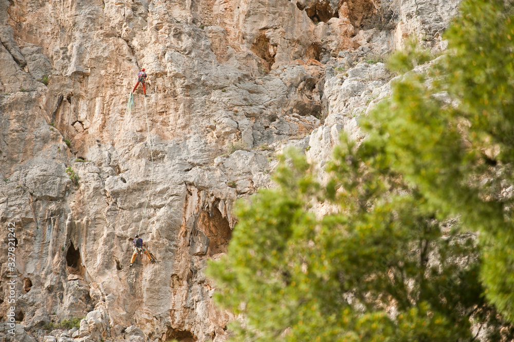 two rock wall climbers, rock climbing, with trees two rock wall climbers, rock climbing, with trees