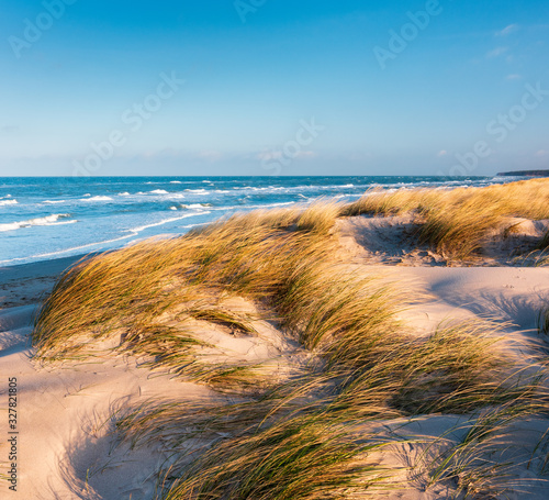 Sonniger Wintertag am Meer, Dünen mit Strandhafer an der Ostsee, Darß