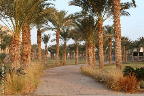 alley in the park