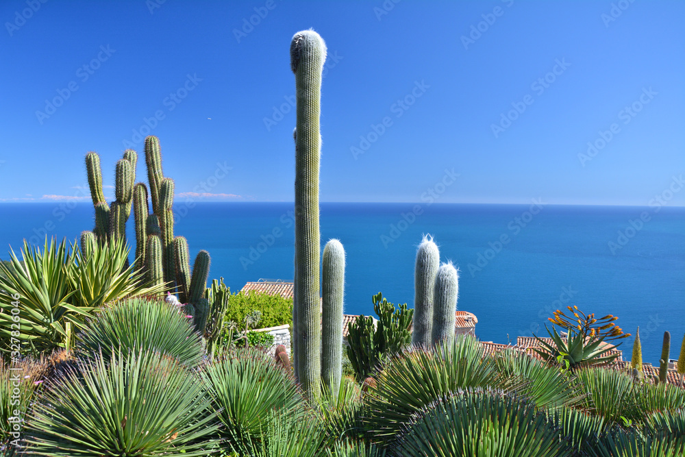 Cactus exotic garden with Mediterranean Sea view in Eze, France. Cactus exotic garden with Mediterranean Sea view in Eze, France.