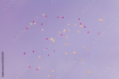 Heart love balloons fly into purple sky with ceremony wishes. Romantic symbol of future partnership. Group of beautiful heart ballons with congratulations cards at wedding party or valentines day © azur13