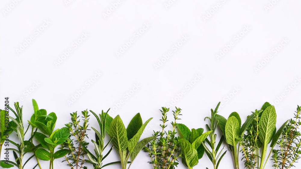 Fotografie Fresh green herbs frame on white background. Space for text