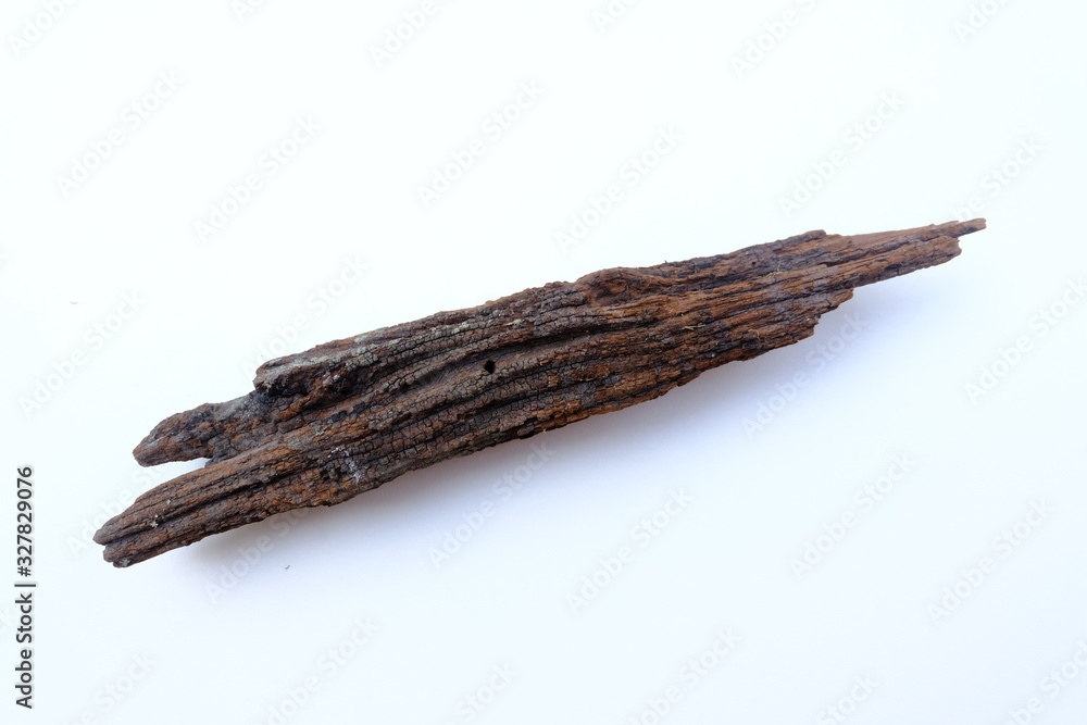 1 old core On a naturally beautiful white background 1 old core On a naturally beautiful white background