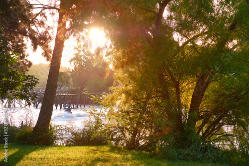 Sun flare through lush vegetation. Motor scooter on a fast river. Tigra delta in Argentina, canals and river system of the Parana Delta North from Buenos Aires. photo