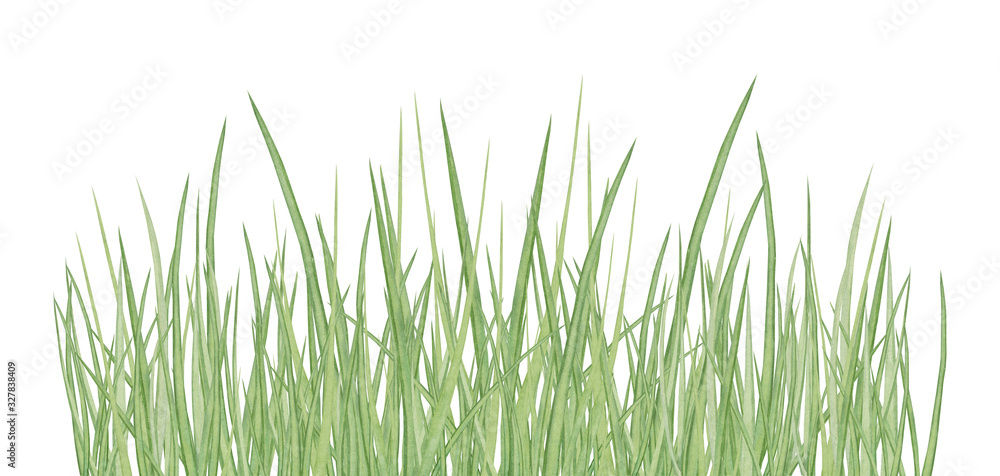 Fototapeta premium Watercolor hand drawn meadow herbal border composition with green grass isolated on white background