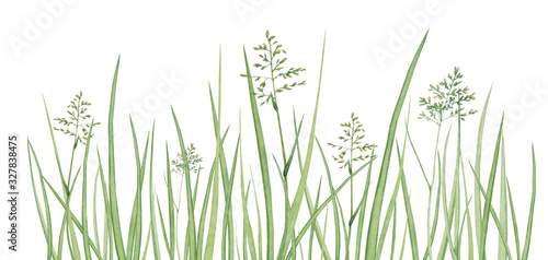 Watercolor hand drawn meadow herbal border composition with thick green grass isolated on white background