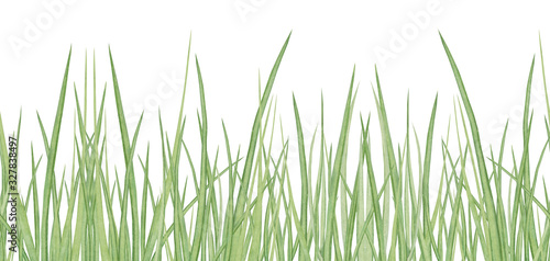 Watercolor hand drawn meadow herbal seamless border with thick fresh green grass isolated on white background