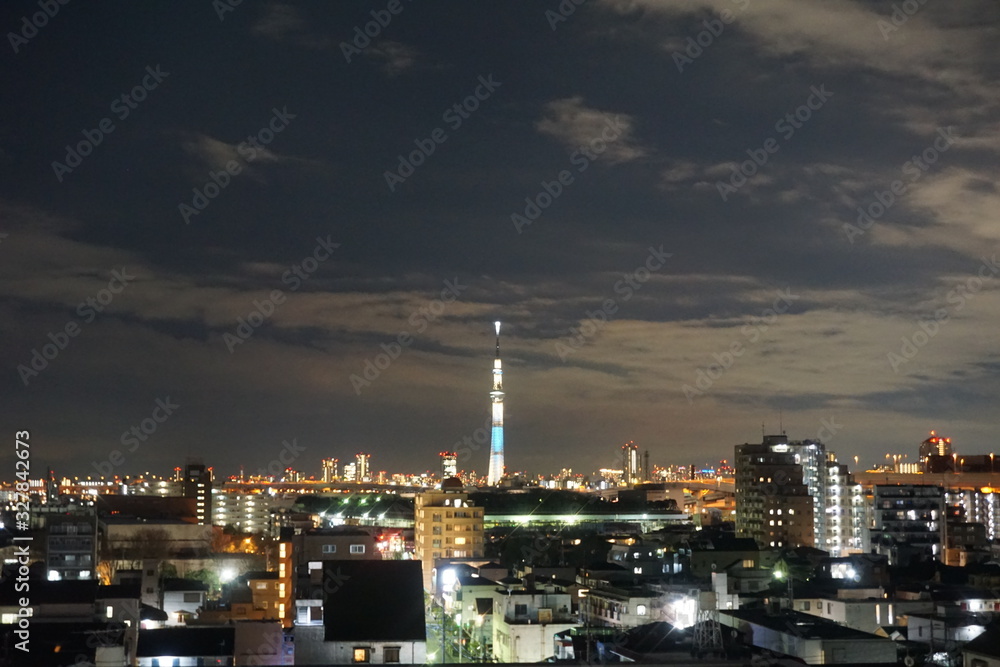 Obraz premium 東京の夜景