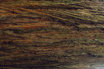 Fototapete Brennholz Textur Redwood tree bark texture  © Amy Buxton