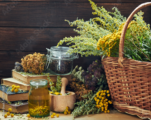 Variety of wild herbs: absinth plant, tansy, dried St. John's wort, cllover and mifoil, assorted on the wooden rustic background and wicker with fresh plants,closeup, copy space photo