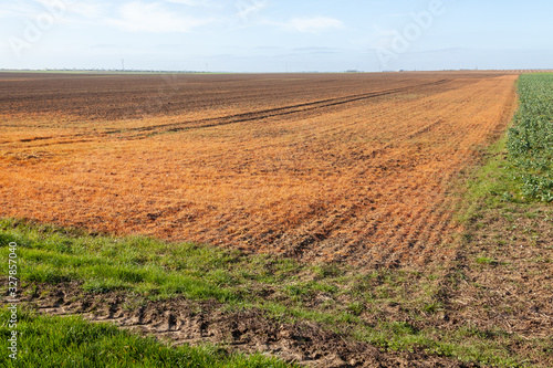 Agriculture - herbicide, traitement phytosanitaire au glyphsate