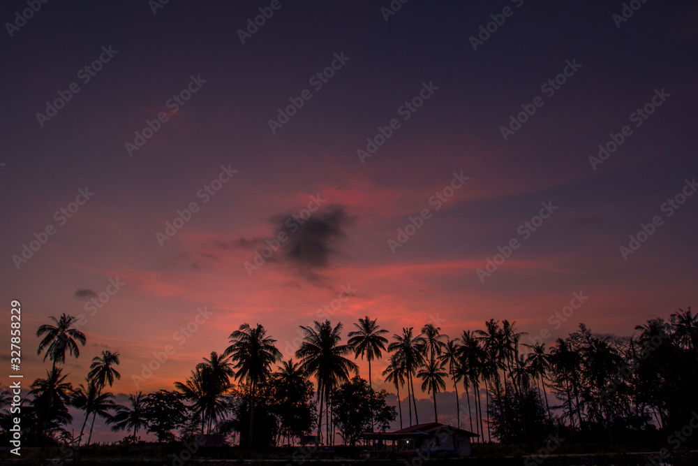 Wallpaper blurred nature of the twilight light in the evening by the large water basin surrounded by big trees, the integrity of the forest Wallpaper blurred nature of the twilight light in the evening by the large water basin surrounded by big trees, the integrity of the forest