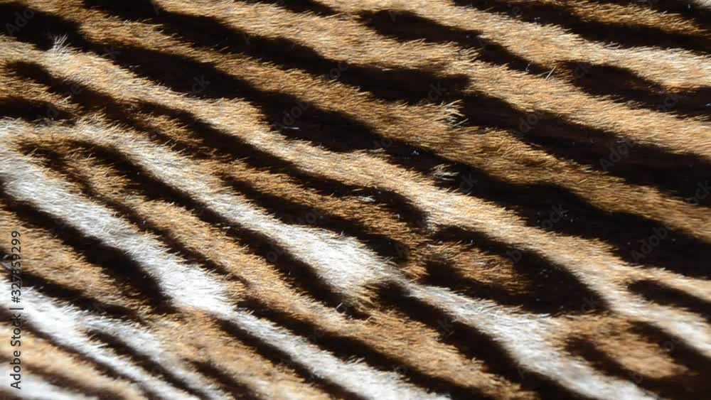 feline fur background texture pattern feline fur background texture pattern