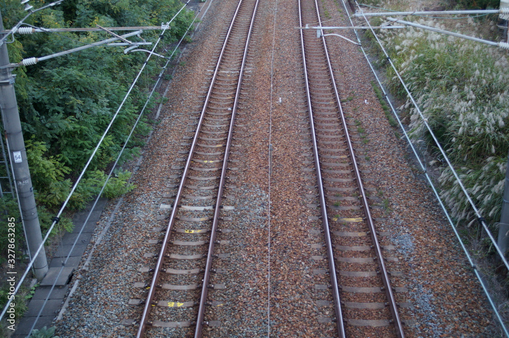 Country forest and railroad tracks