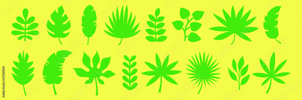Tropical exotic green leaves of different tree species. Vector set.