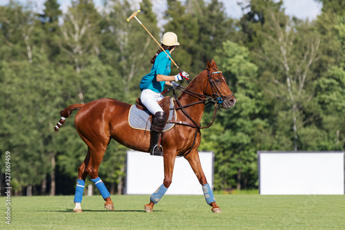 Horse polo player with a mallet ride on field. Profile side view