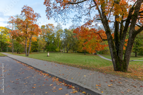 autumn moods in Aluksne photo