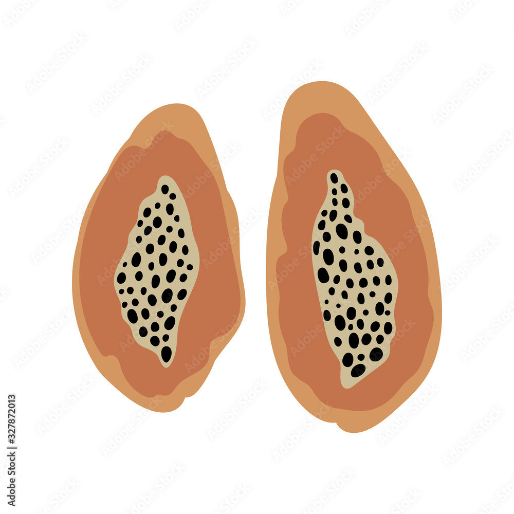 Raw papaya halfs. Fresh exotic fuit isolated on white background. Healthy food in simple hand drawn style. Vector illustration. Raw papaya halfs. Fresh exotic fuit isolated on white background. Healthy food in simple hand drawn style. Vector illustration.