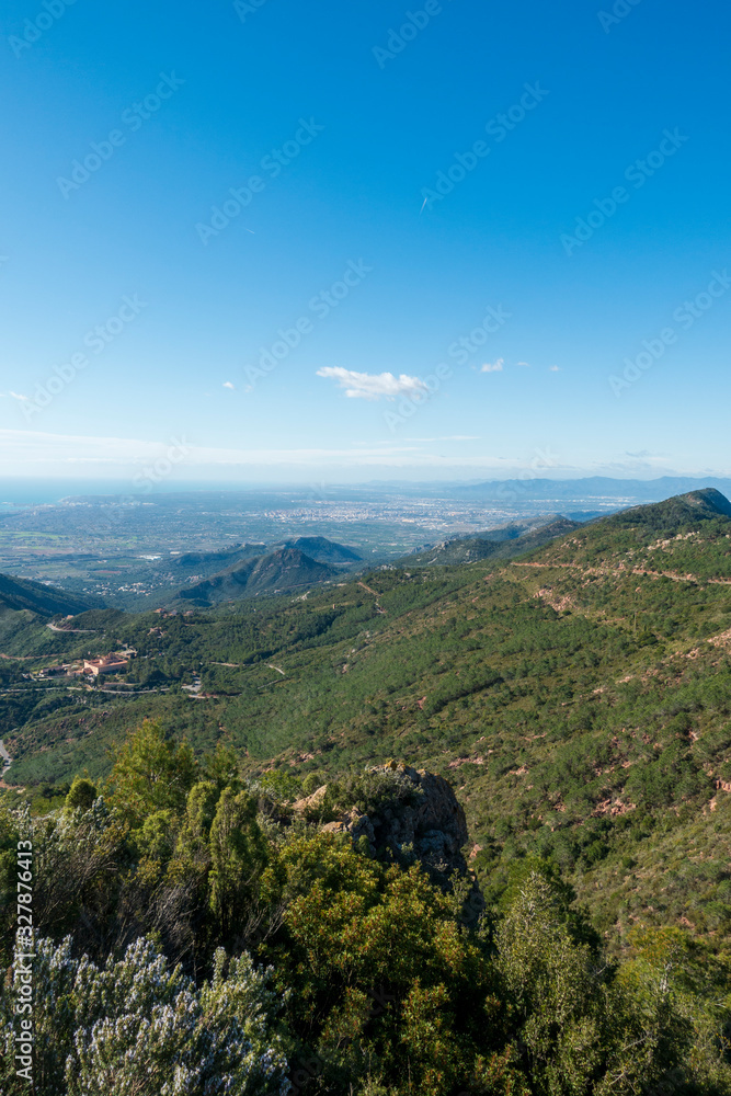 Fototapeta premium The desert of the palms in Benicassim, Costa Azahar