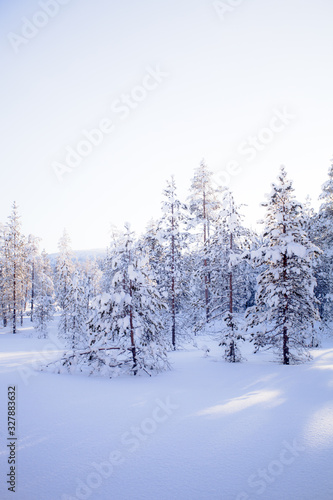 Winter in Lapland Finland