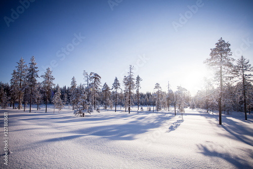 Winter in Lapland Finland