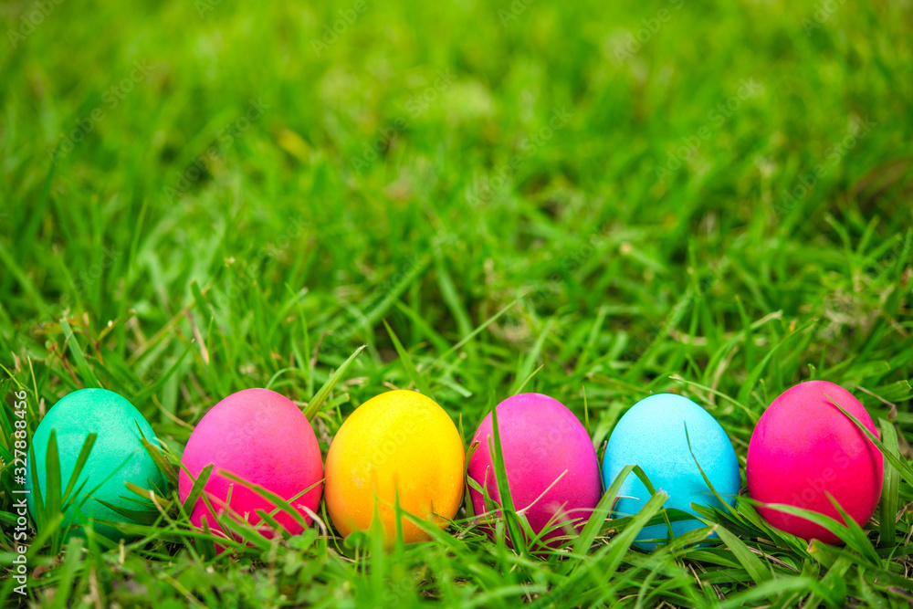 Row of Easter eggs in fresh green grass. Egg hunt. Spring time.