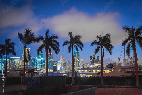 Palm trees and yachts with Downtown Miami on the background