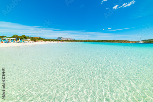 Fototapeta Naklejka Na Ścianę i Meble -  Crystal clear water in Cala Brandinchi