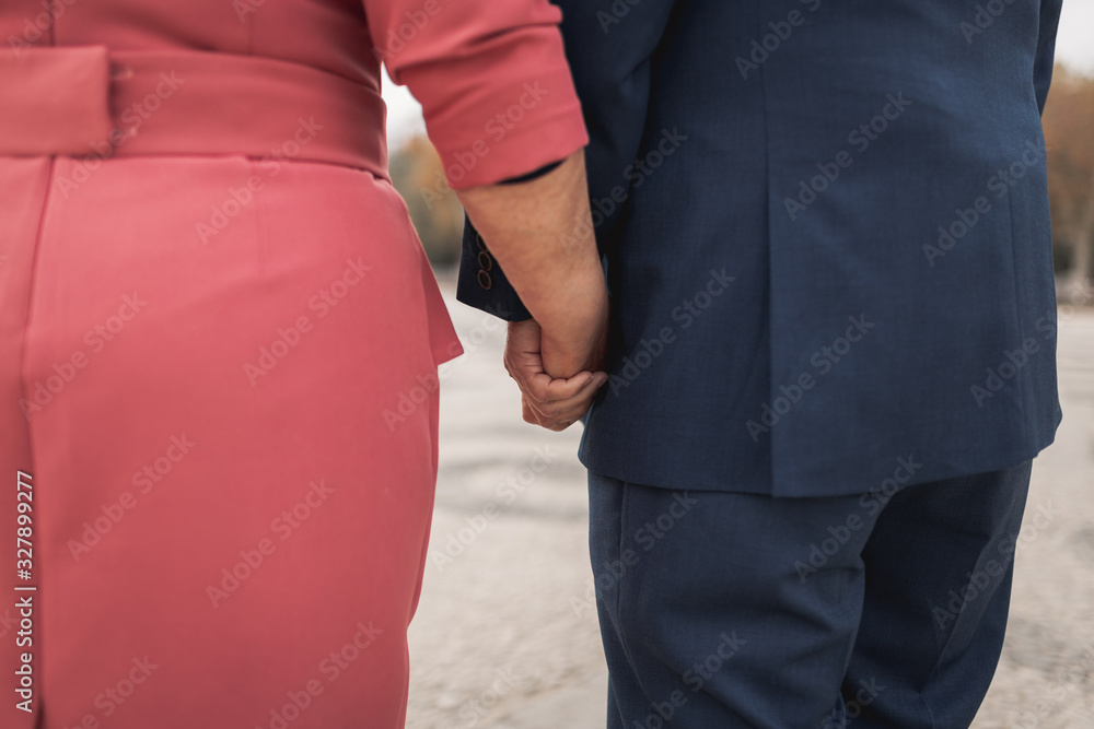 Elderly couple holding hands and looking away. The photo is taken from behind. Old and beautiful hands.