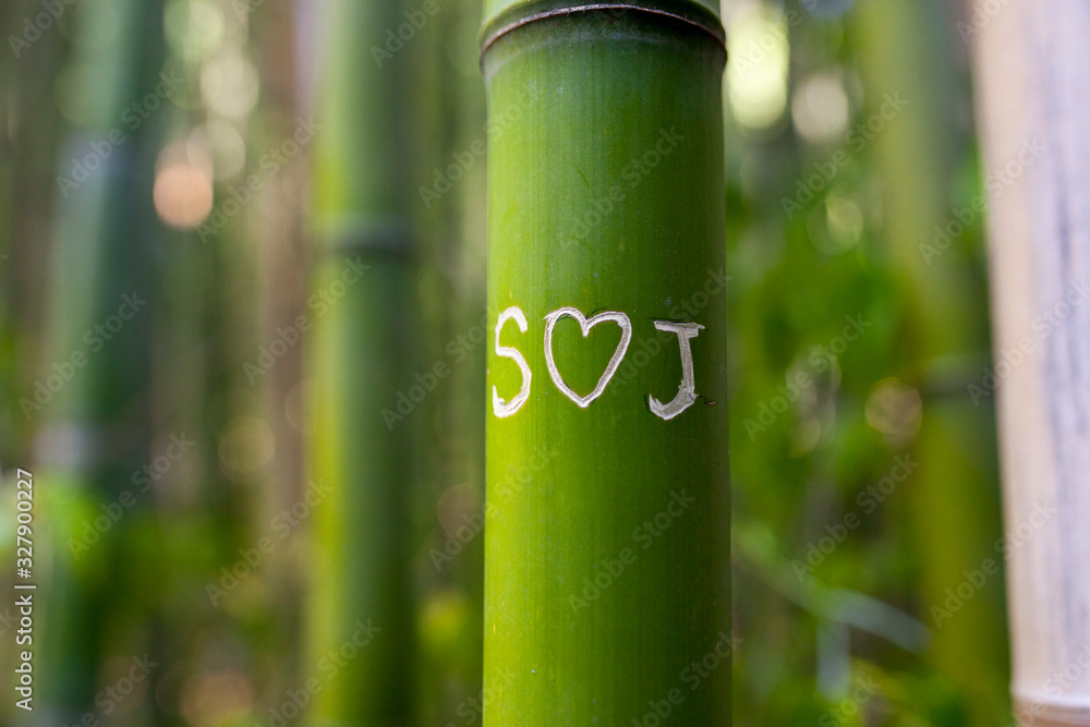 Fototapeta premium Love messages at Bamboo forest trunk