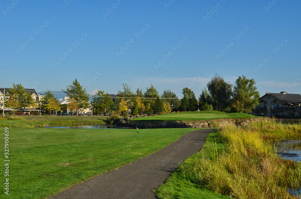Island Green on Homestead Golf Course with Cart Path in Washington
