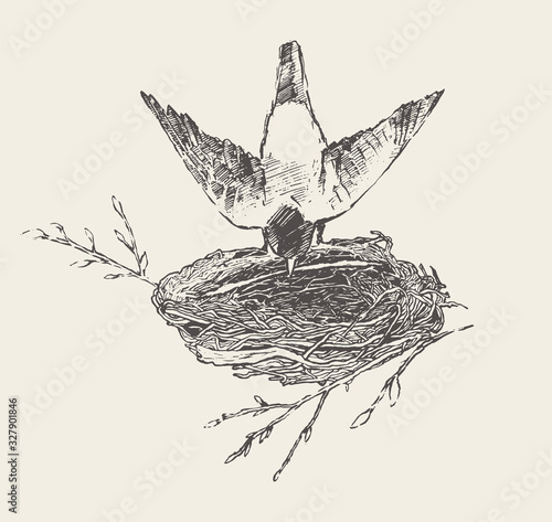 Bird builds a nest. Hand drawn vector sketch