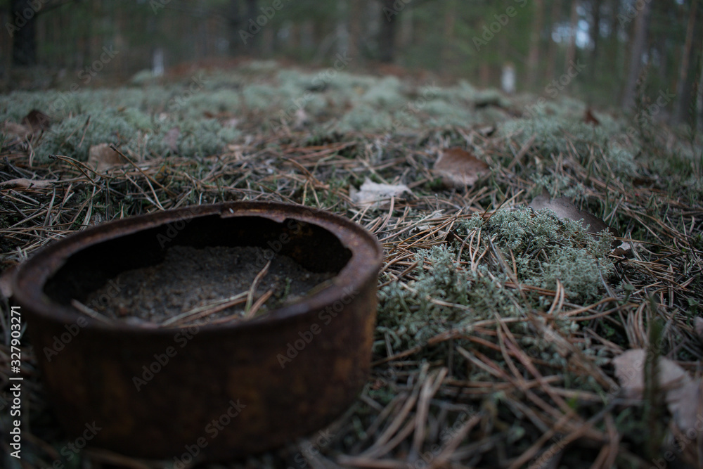 Old canned food on the ground in the forest Old canned food on the ground in the forest