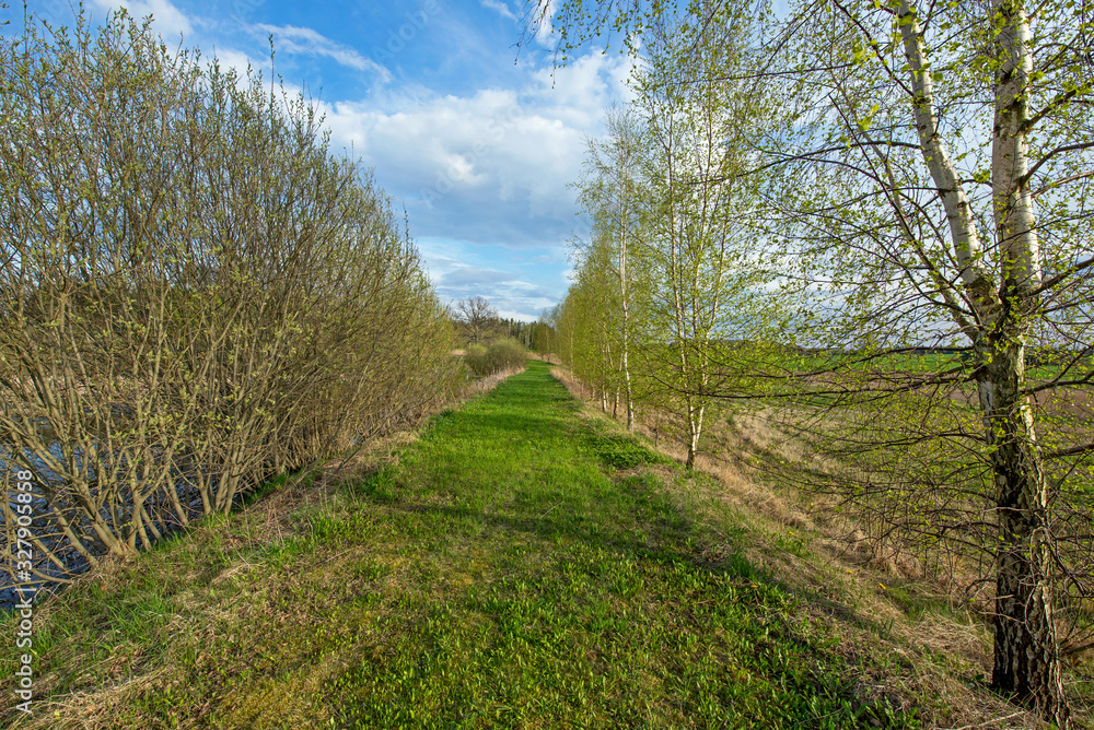 Beautiful green nature landscape of Europe Beautiful green nature landscape of Europe