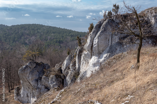 Góra Zborów (Berkowa Góra) - a rocky hill within the village of Podlesice in the Śląskie Voivodeship photo