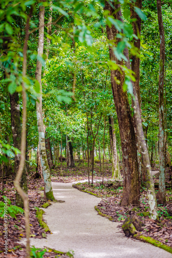 Cleaver Woods Park Trinidad Tropical forest park gravel footpath Cleaver Woods Park Trinidad Tropical forest park gravel footpath