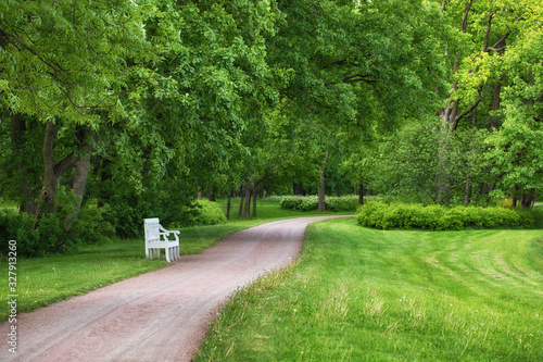 white bench in the park wit...