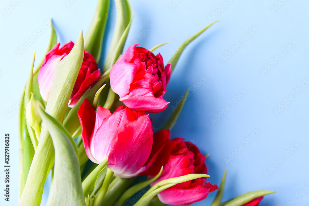Fototapeta premium Spring beautiful tulip flowers on soft pastel background with copy space. Mother's day, greeting card festive decorative floral composition
