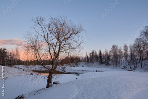 Winter landscape. The tree on the shore of the forest lake is partially covered with ice at sunset.