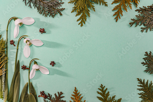 Spring time, Increasing position of snowdrops on a turquoise background, top view, modern and simple decor