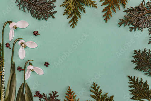 Spring time, Increasing position of snowdrops on a turquoise background, top view, modern and simple decor