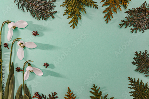 Spring time, Increasing position of snowdrops on a turquoise background, top view, modern and simple decor