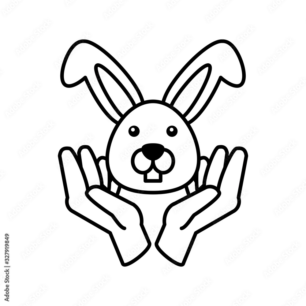 Obraz premium hands holding an rabbit on white background