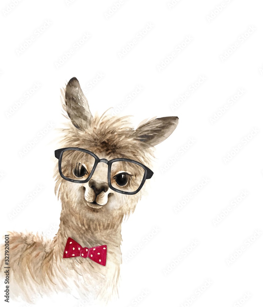 alpaca cute animal in black glasses and a red bow tie, watercolor illustration on white background