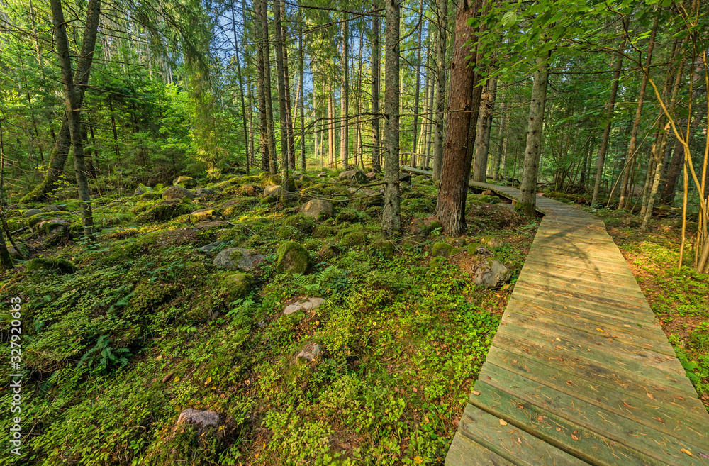 Obraz premium Beautiful green nature landscape of Europe