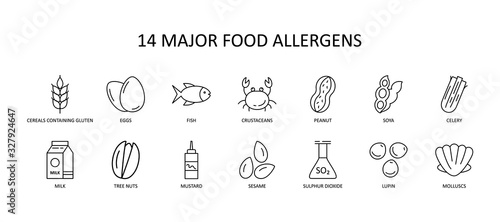 14 major food allergens icon. Vector set of 14 icons with editable stroke. Collection includes gluten, fish, egg, crustacean, peanut, lupin, soya, milk, trees nuts, mustard, sesame, sulphur dioxide. photo