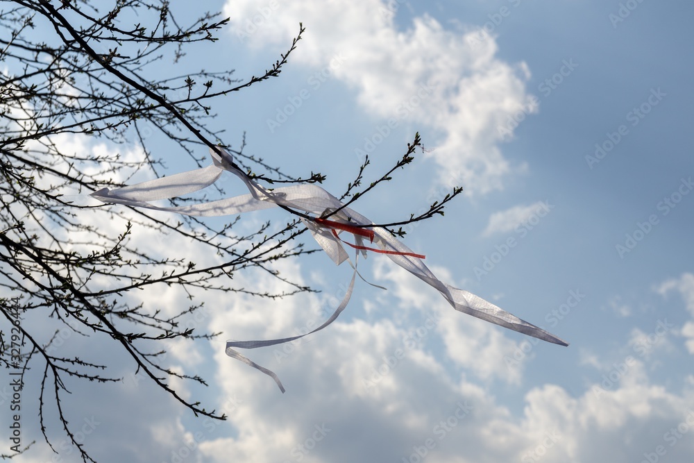 Obraz premium Ribbons on the tree in strong wind. Slovakia