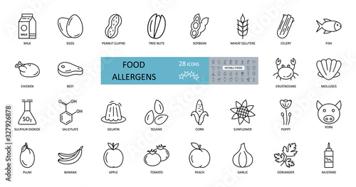 Food allergens icon. Vector set of 28 icons with editable stroke. The collection contains most allergenic products  such as gluten  fish  eggs  shellfish  peanuts  lupine  soy  celery  milk  tree nuts