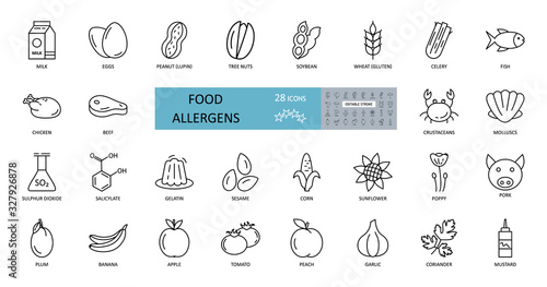 Food allergens icon. Vector set of 28 icons with editable stroke. The collection contains most allergenic products, such as gluten, fish, eggs, shellfish, peanuts, lupine, soy, celery, milk, tree nuts
